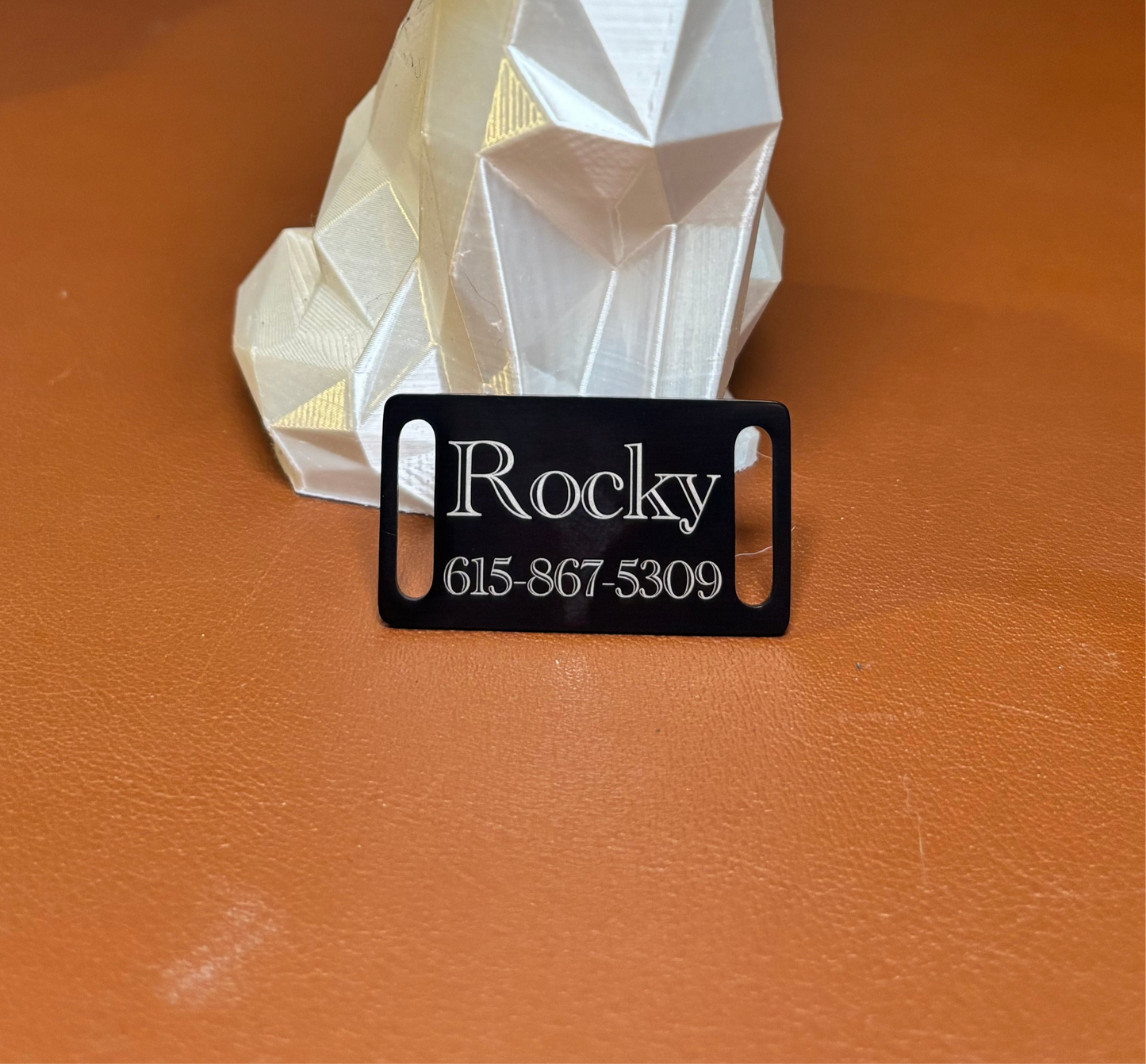 Slide-On Dog Tag