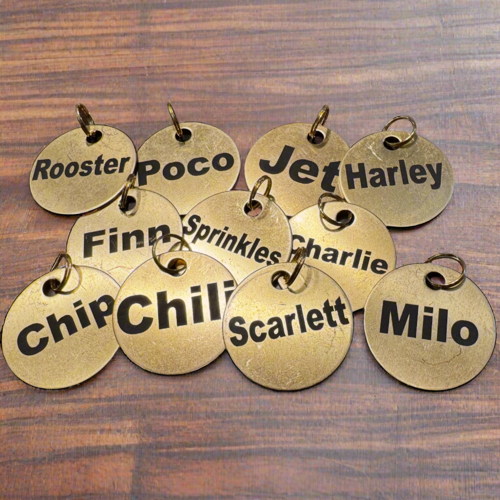 Pet Name Tag - Brass